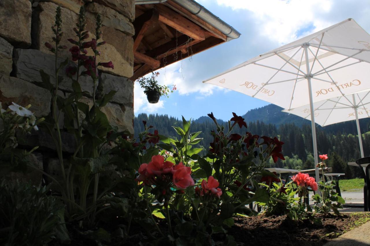 Chalet Hotel Vaccapark Le Praz de Lys Buitenkant foto