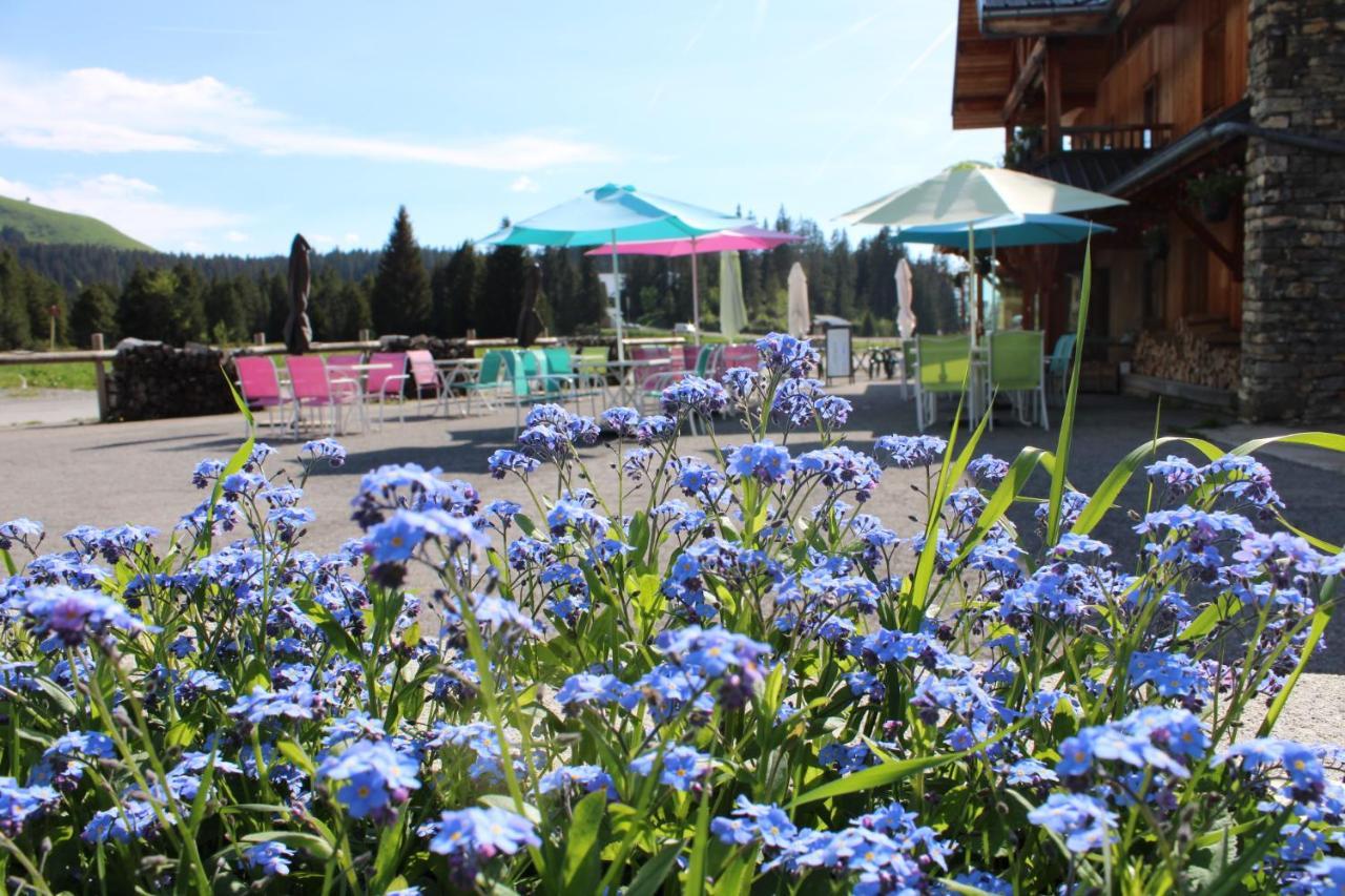 Chalet Hotel Vaccapark Le Praz de Lys Buitenkant foto