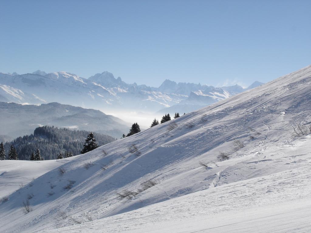 Chalet Hotel Vaccapark Le Praz de Lys Buitenkant foto