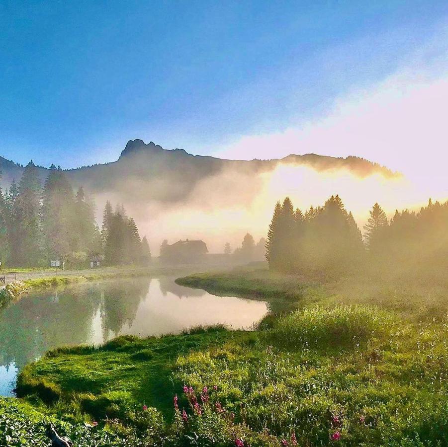 Chalet Hotel Vaccapark Le Praz de Lys Buitenkant foto