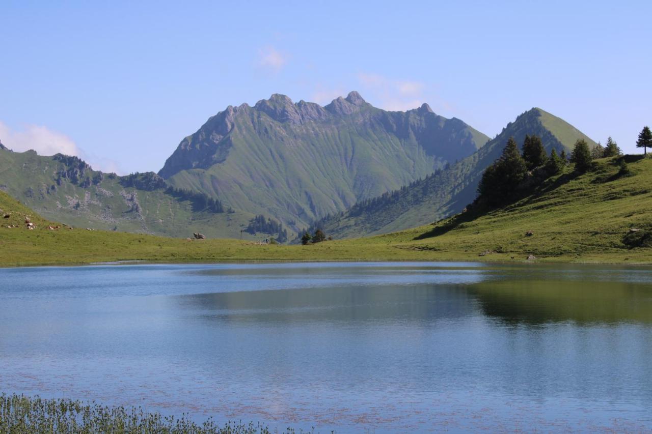 Chalet Hotel Vaccapark Le Praz de Lys Buitenkant foto