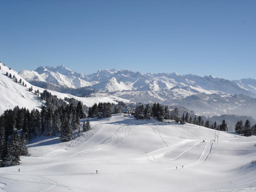 Chalet Hotel Vaccapark Le Praz de Lys Buitenkant foto