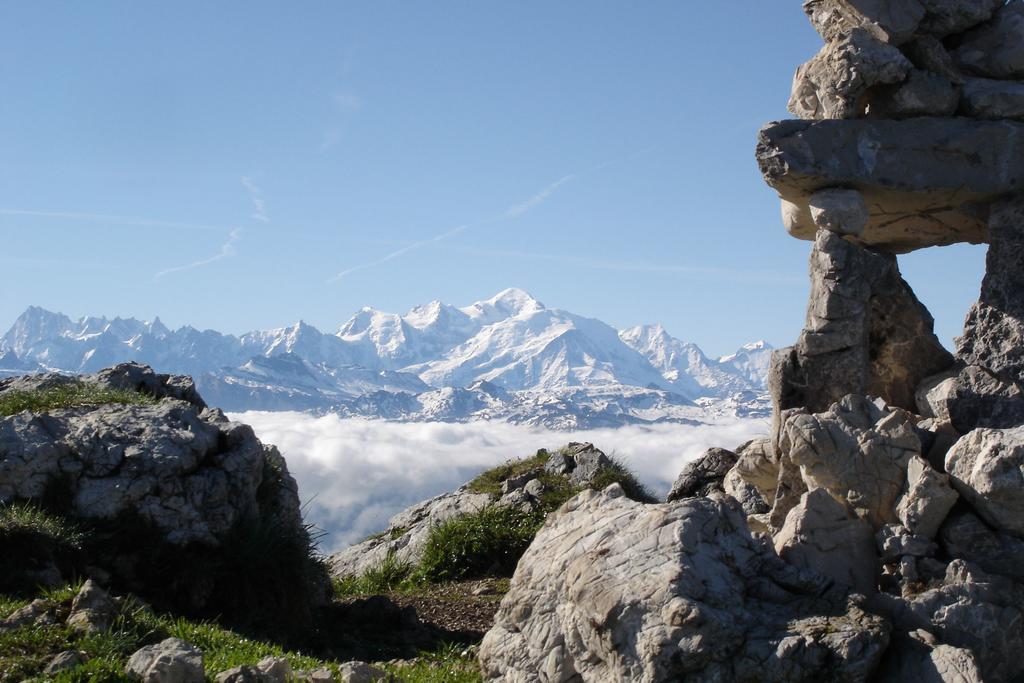 Chalet Hotel Vaccapark Le Praz de Lys Buitenkant foto